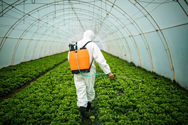 Best Ant Control Services  in Picacho Hills, NM