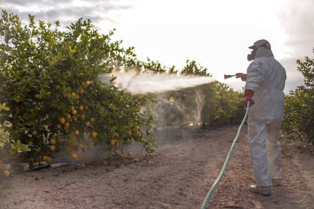 Best Best Pest Control Companies  in Picacho Hills, NM
