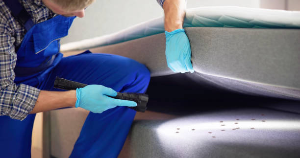 Best Bed Bug Extermination  in Picacho Hills, NM