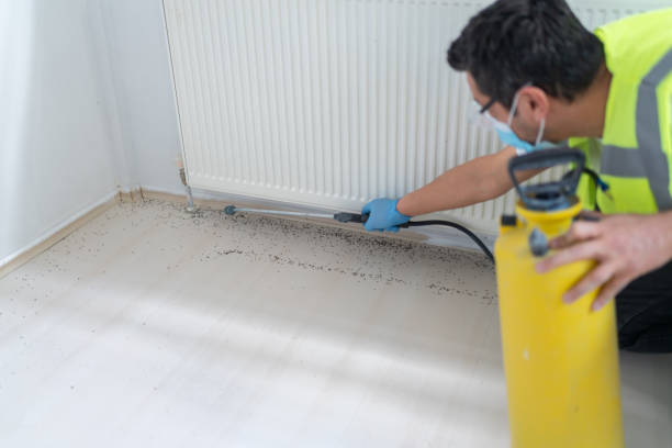 Best Best Pest Control Near Me  in Picacho Hills, NM